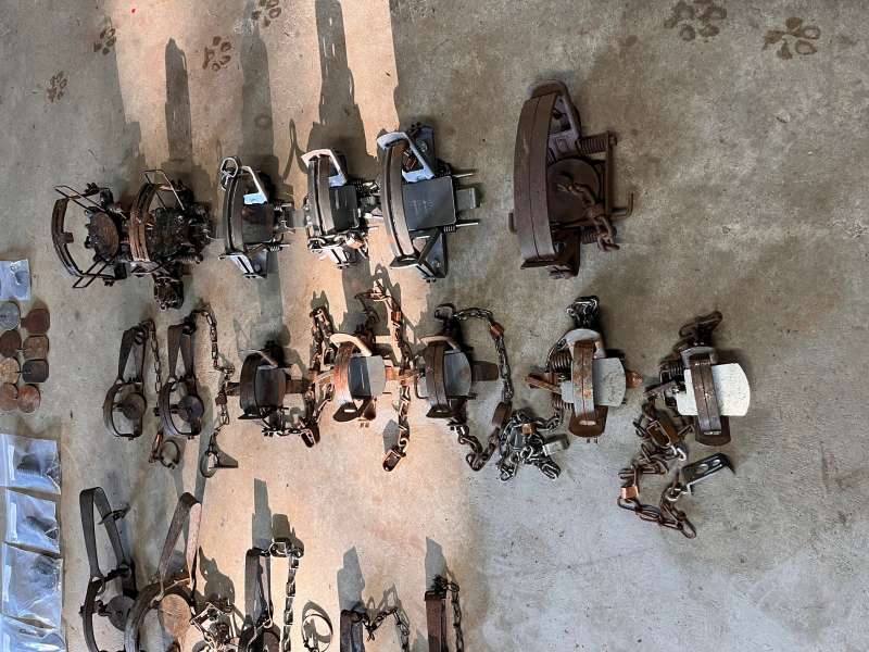 Name: IMG_1475 (2).jpg
Views: 199
Size: 79.77 KB
ID: 27516 IMG_1475 (2).jpg